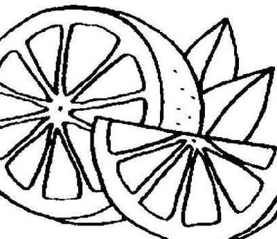 水果橘子簡(jiǎn)筆畫(huà)與果樹(shù)描繪指南