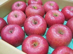 日本水果蔬菜市場解析 從代購、價格到二手商品的購買指南