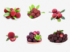 創(chuàng)意無(wú)限 卡通實(shí)物楊梅水果店海報(bào)PNG素材模板全攻略